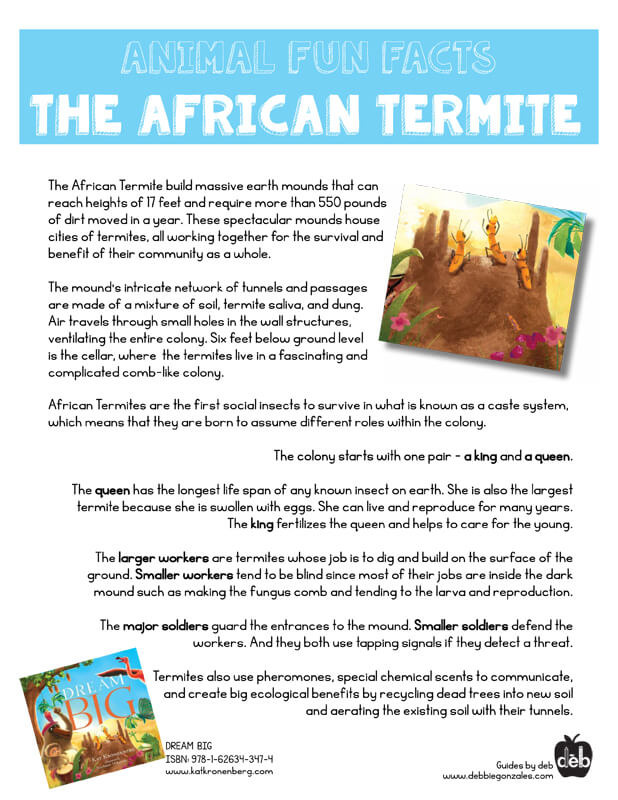 Animal Fact Sheet - Curriculum Idea - The African Termite