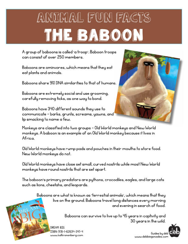 Animal Fact Sheet - Curriculum Idea - The Baboon