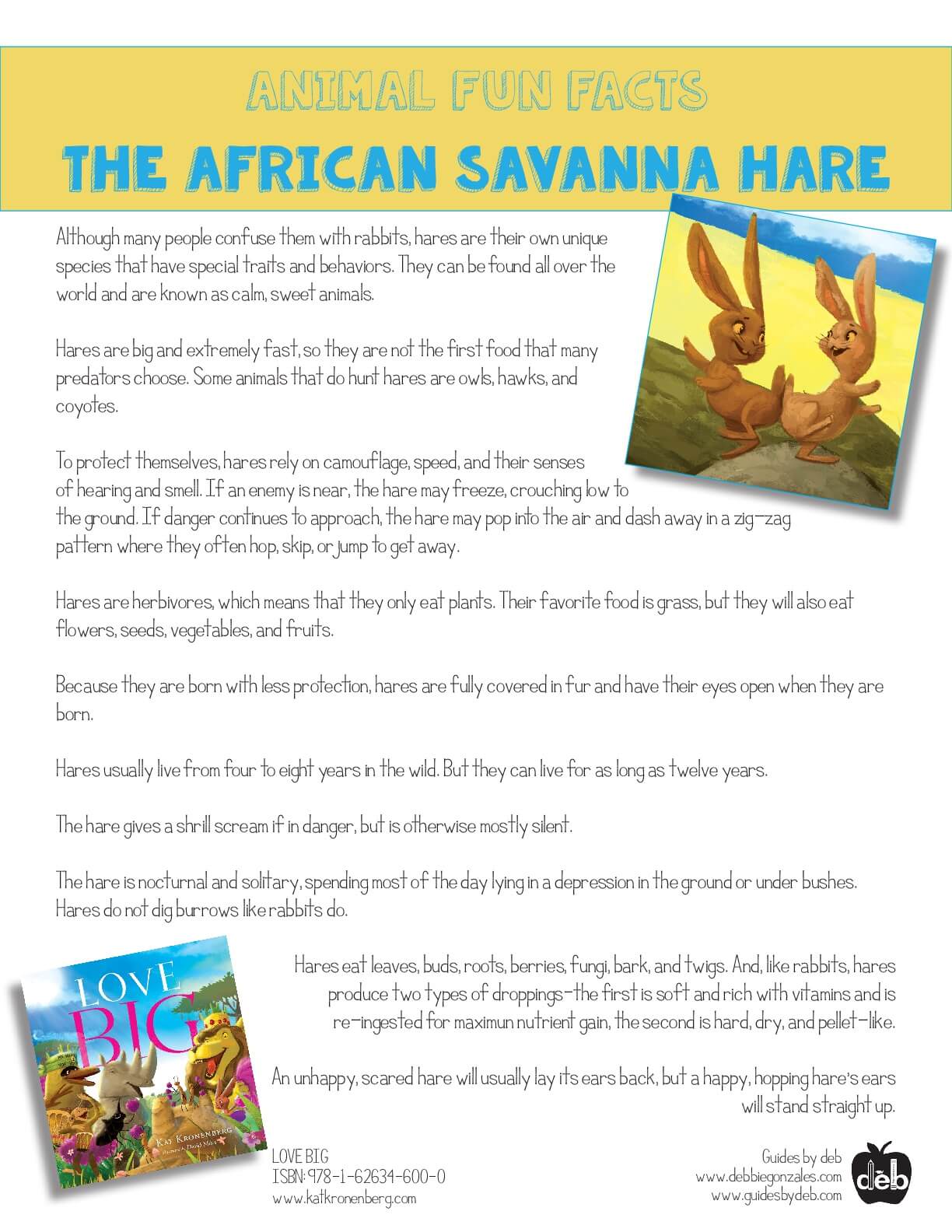 Animal Fact Sheet - Curriculum Idea - The Baboon