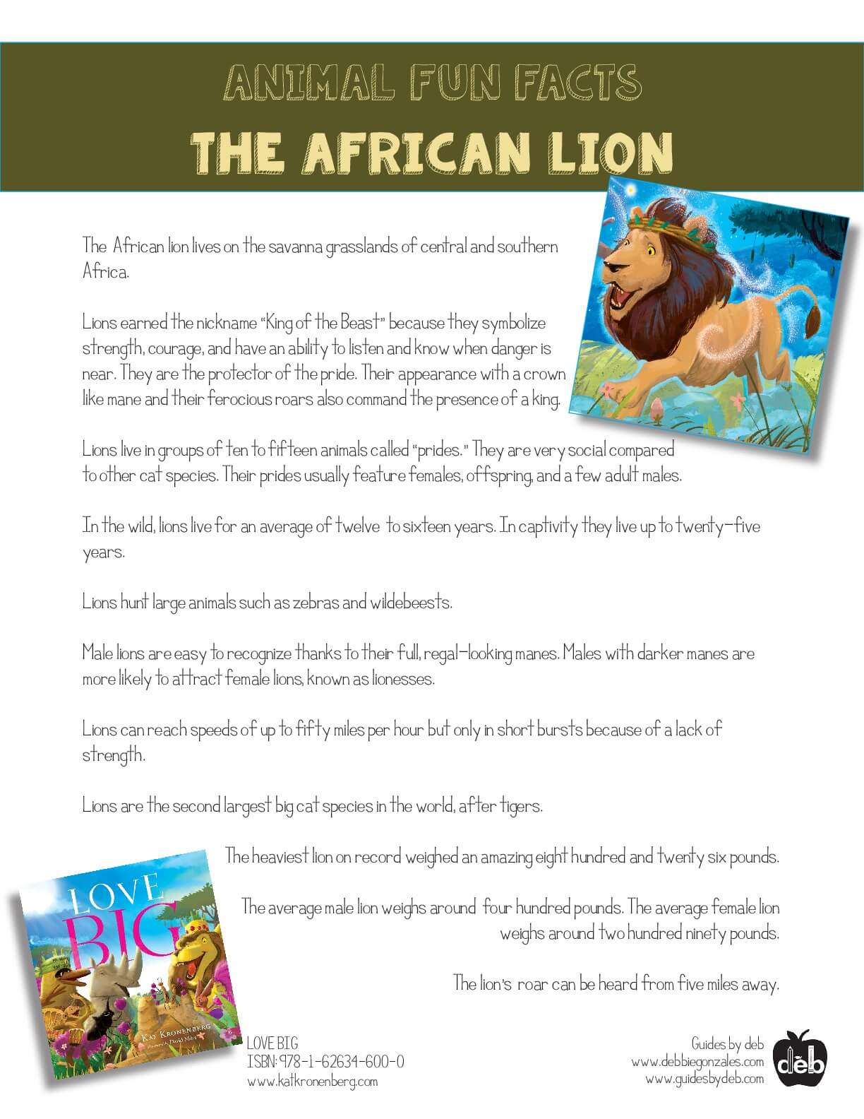 Animal Fact Sheet - Curriculum Idea - The Butterfly