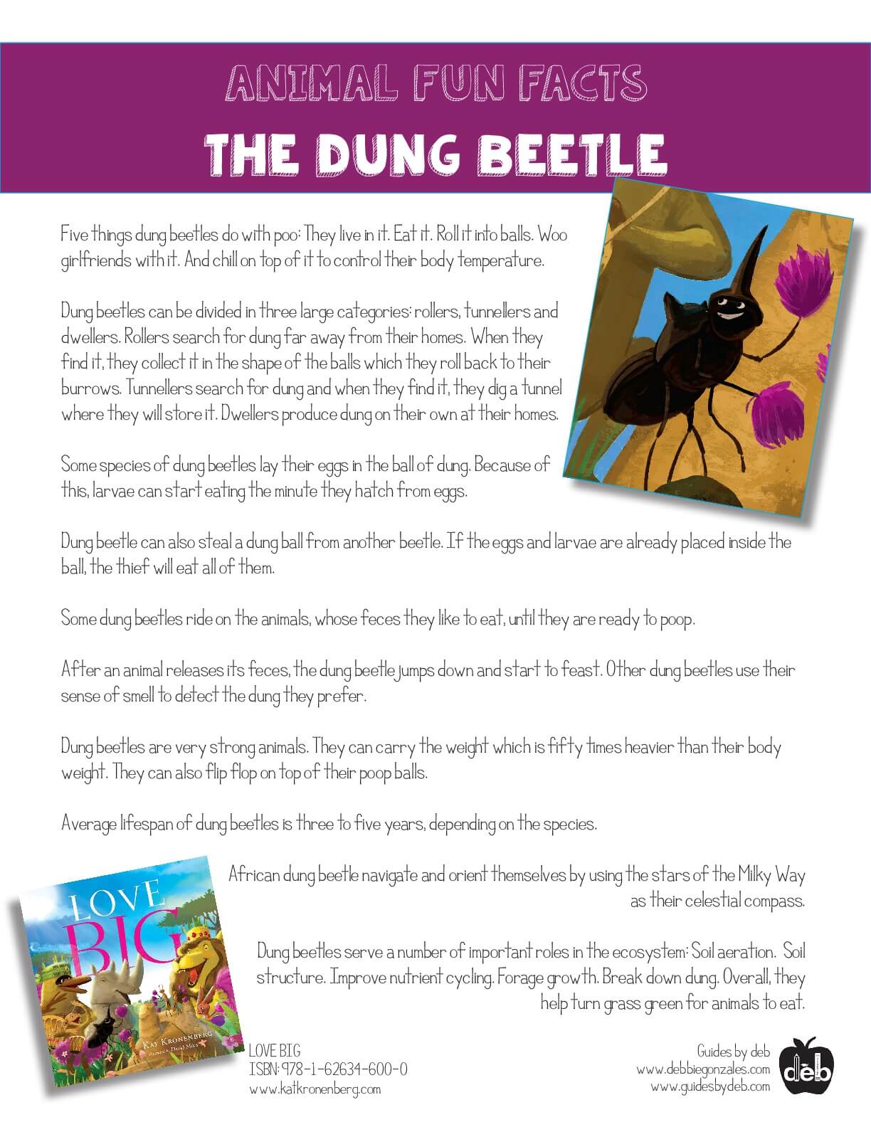 Animal Fact Sheet - Curriculum Idea - The Frog