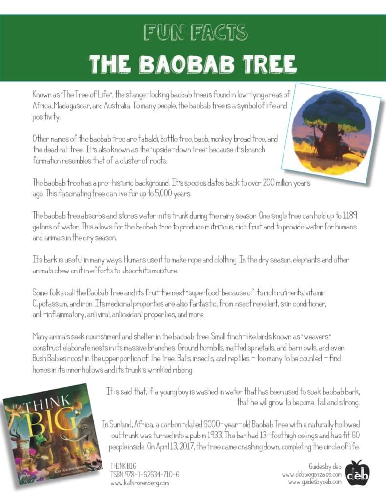 Animal Fact Sheet - Curriculum Idea - The Butterfly