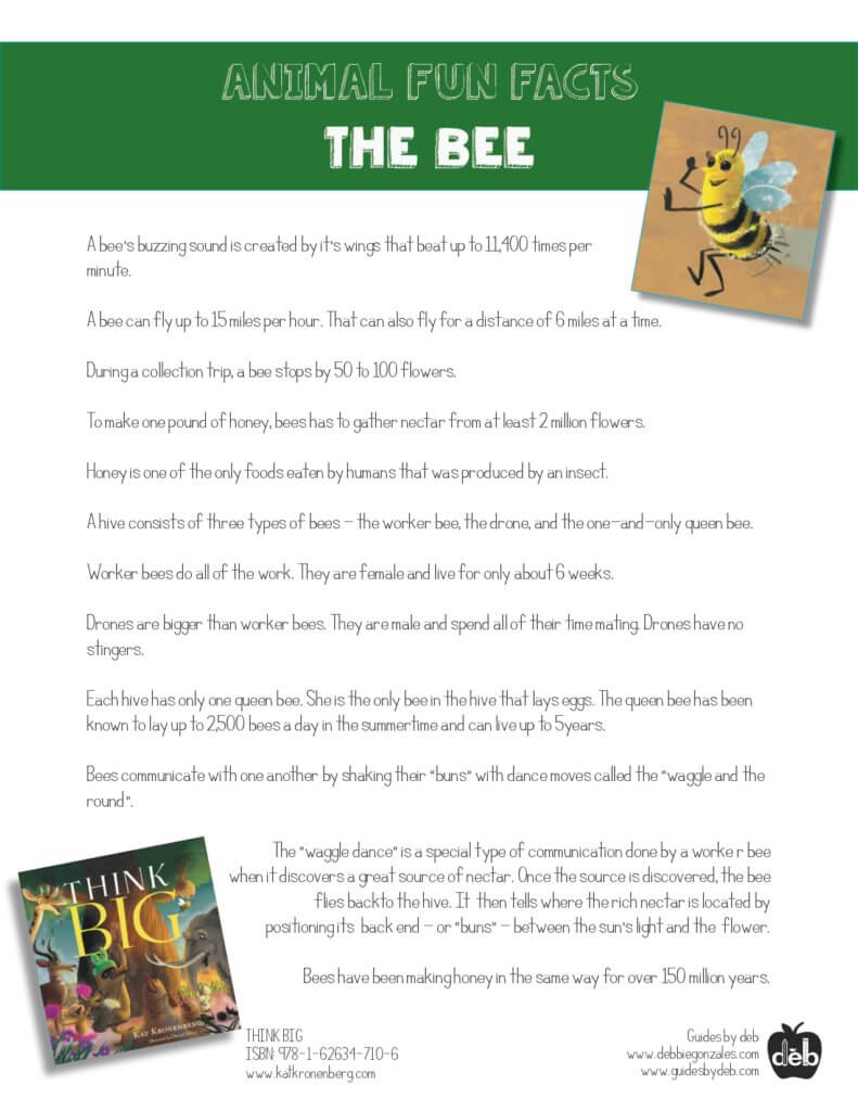 Animal Fact Sheet - Curriculum Idea - The Frog