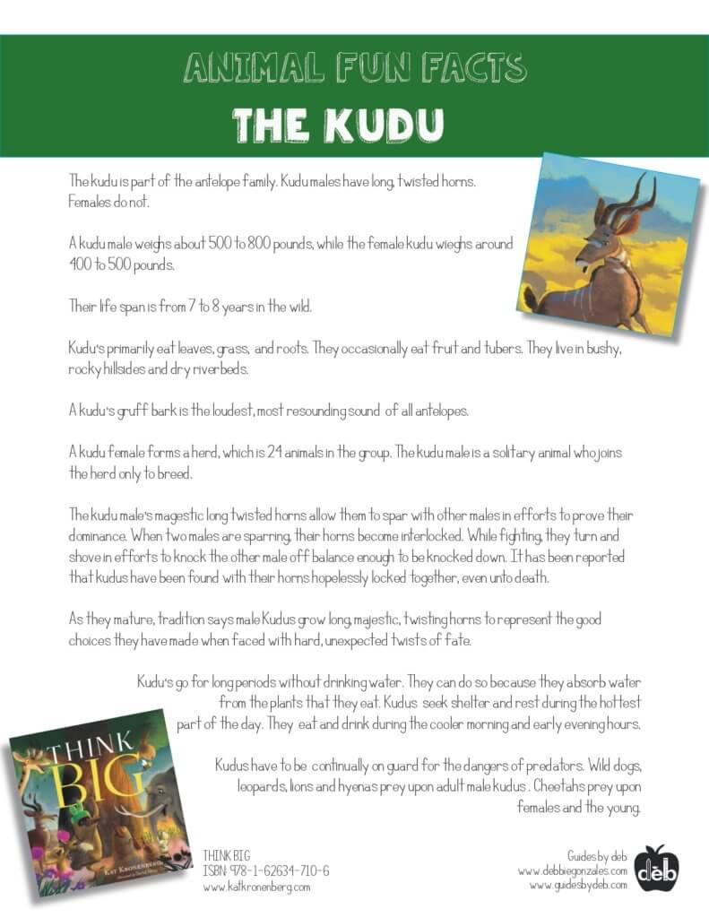 Animal Fact Sheet - Curriculum Idea - The African Termite