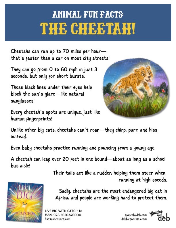 Animal Fact Sheet - Curriculum Idea - The Butterfly